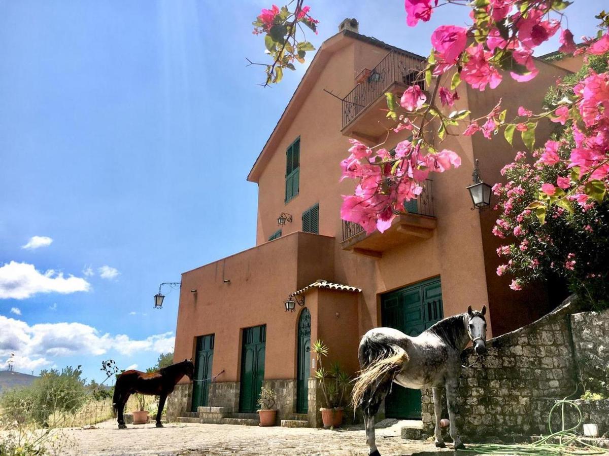 Country Sicily Home Favara Kültér fotó